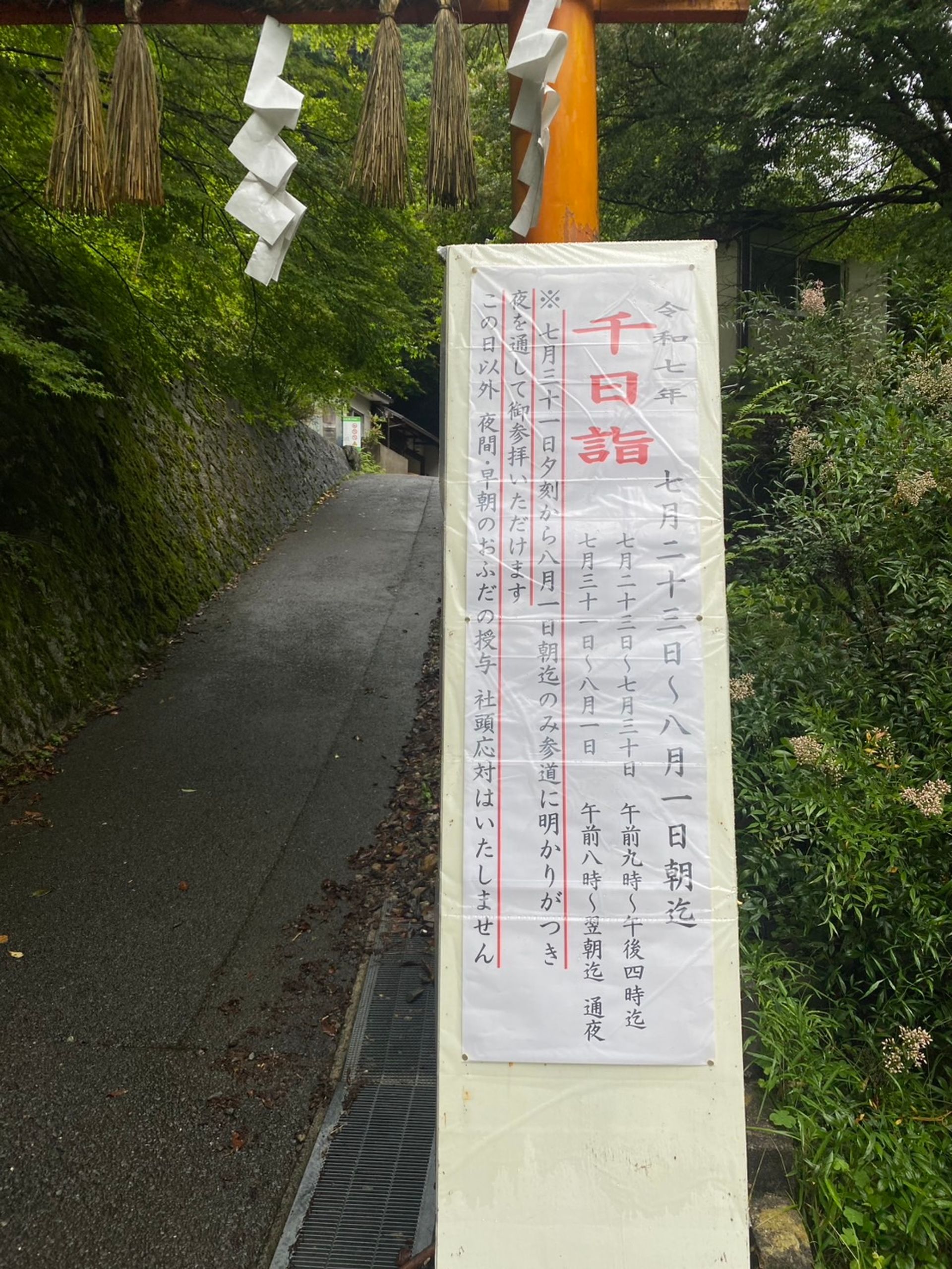 s__260694025